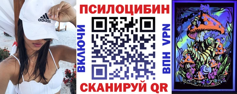 Галлюциногенные грибы Psilocybe Артёмовск